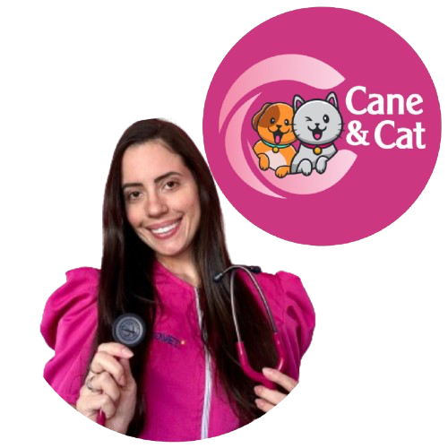 Seja Bem-Vindo!