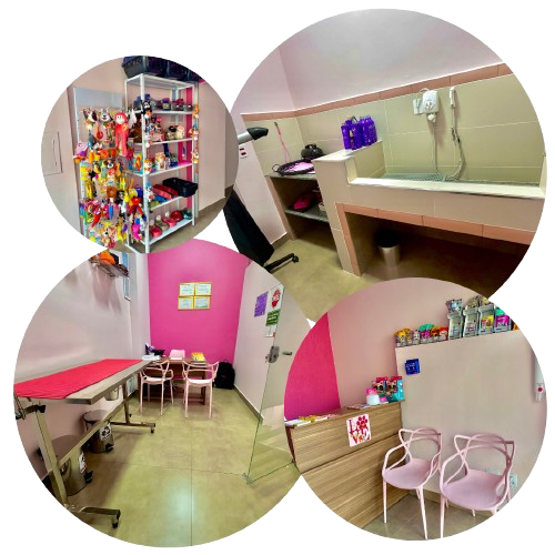 Nosso Espaço