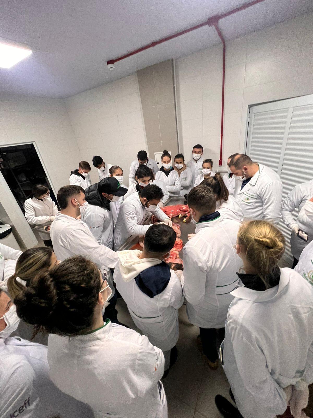 | Home | FACULDADE EMPRESARIAL DE CHAPECO - FAEM - FACULDADE ...