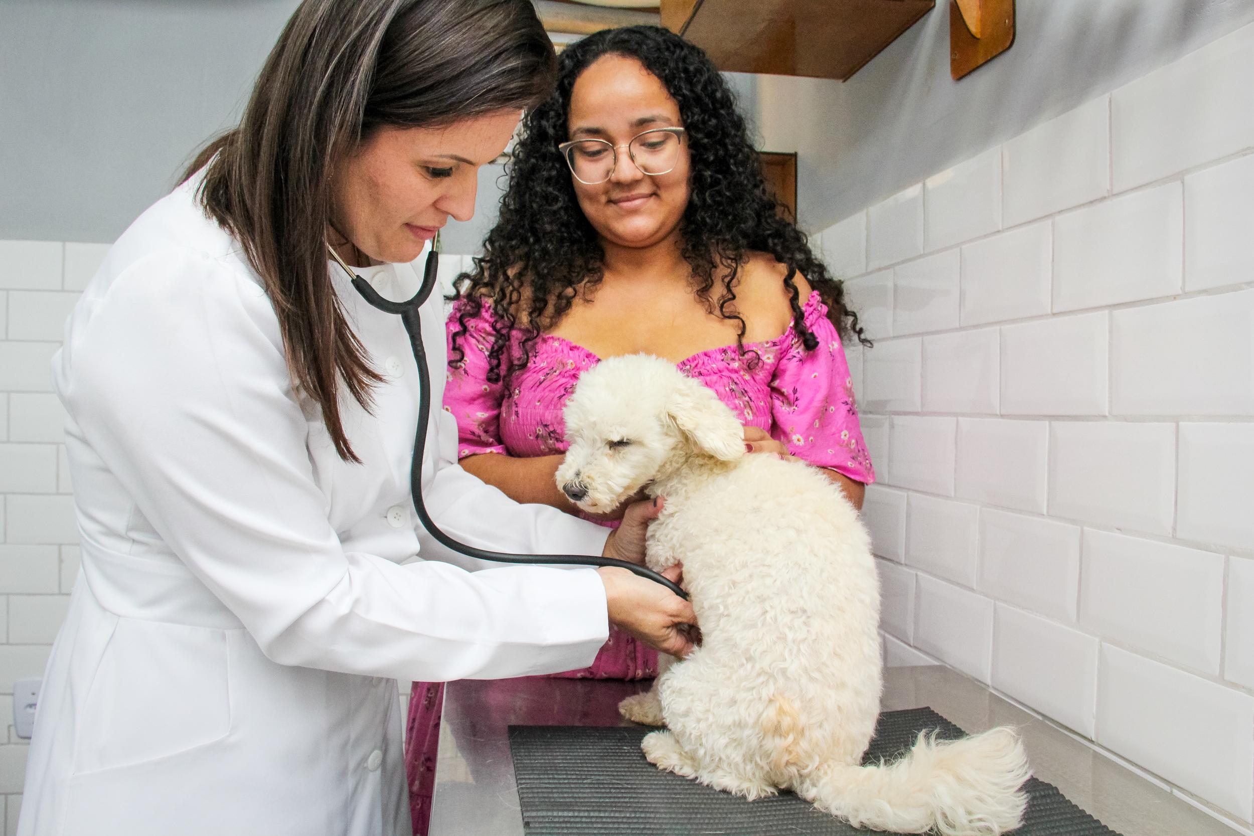 Consulta Veterinária