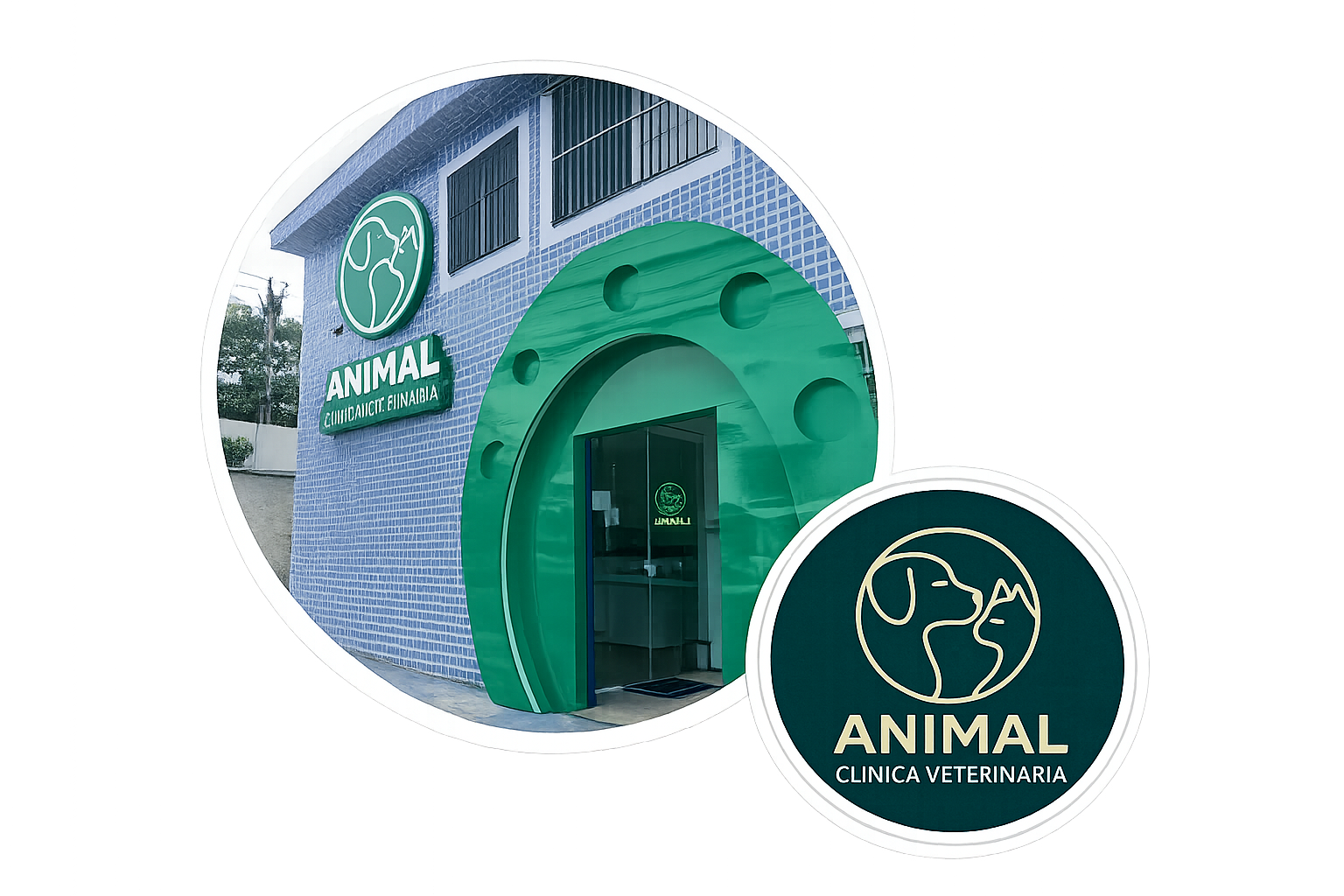 Clínica Veterinária em Itaquera (José Bonifácio) | Consultas, Exames, Cirurgias e Especialistas