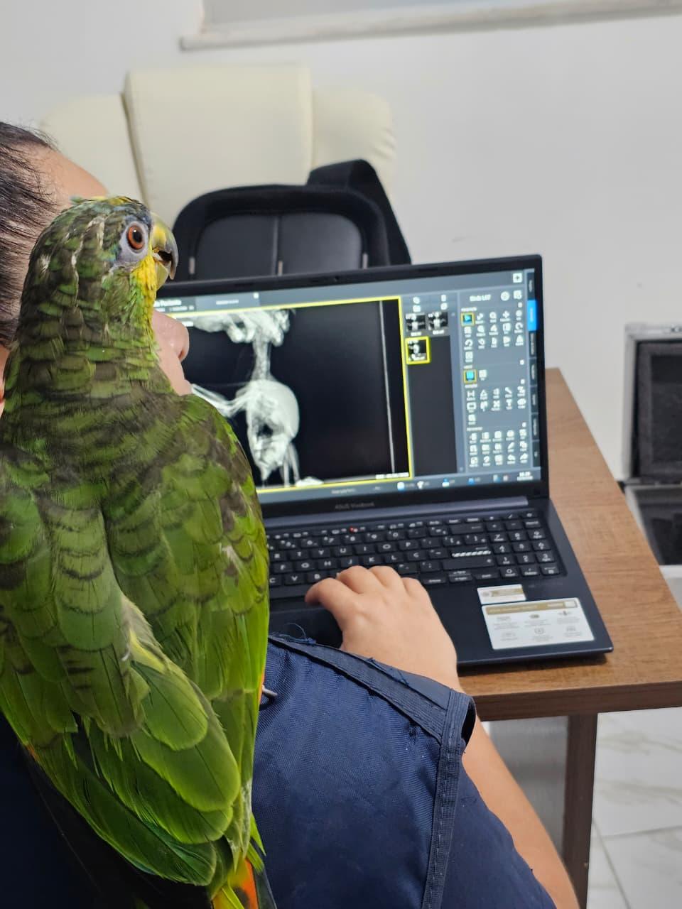FAQ — Mako Clínica Veterinária