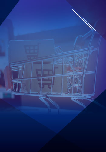 Gestão de Plataformas e-commerce