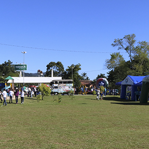 Alunos do curso de Educação Física e Enfermagem participam de evento no Parque Harry Hobus
