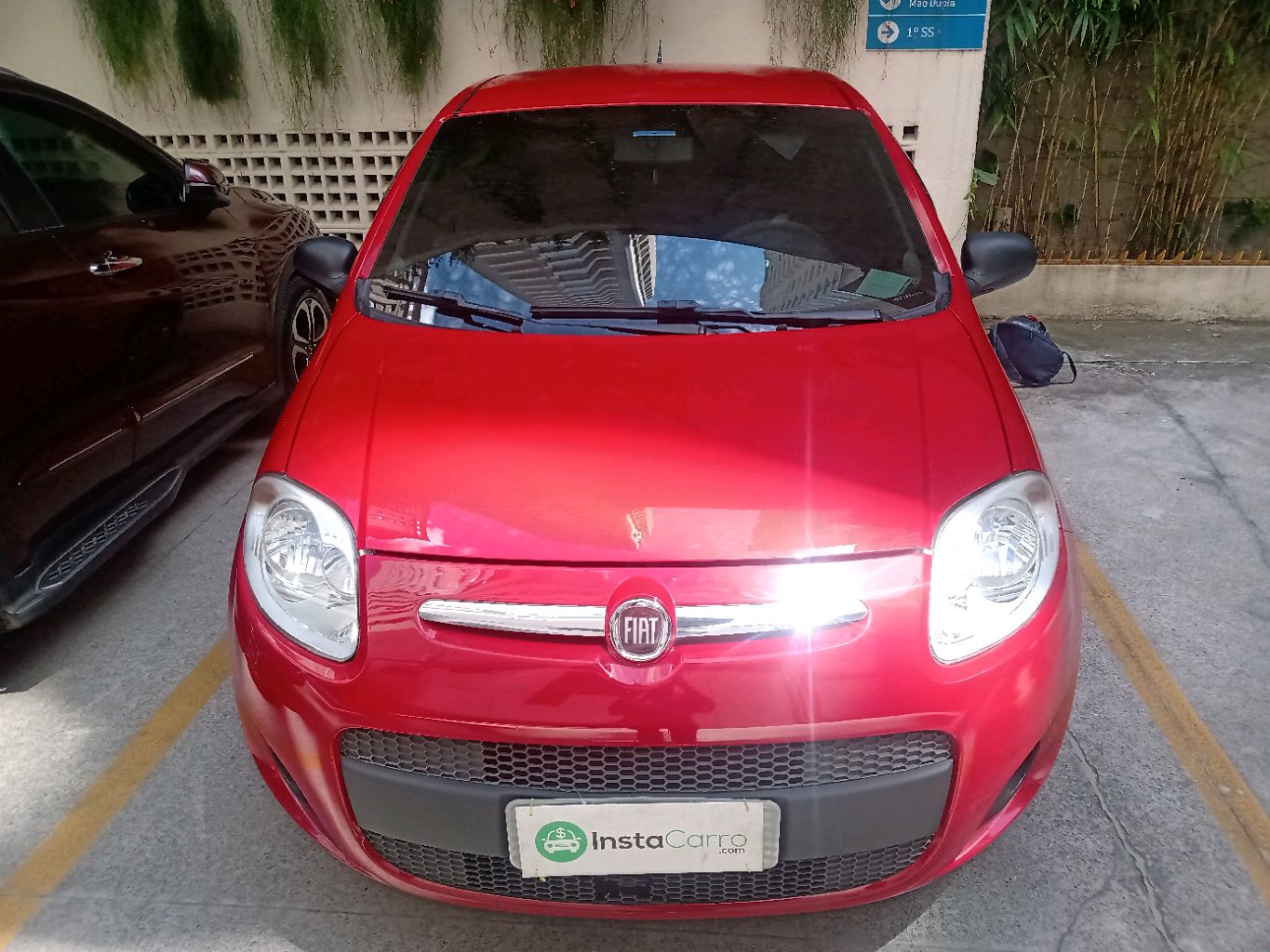 PALIO