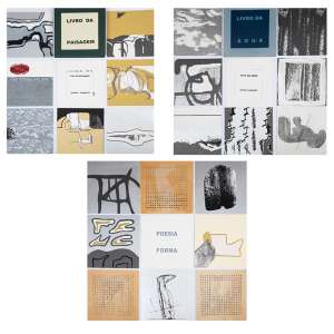 <b>NELSON AUGUSTO / EVANY CARDOSO - Trilogia dos Livros (O Livro da Água / O Livro da Paisagem / Poesia Forma)</b><br><br>conjunto de 3 livros com gravuras de Evany Cardoso e poemas de Nelson Augusto; texto introdutório de Vera Lins<br>acompanha livro com obras da Evany Cardoso com dedicatória a Nelson Augusto<br>(2002; tiragem de 20 exemplares cada um)<br>22 x 27 x 3 cm (caixa)