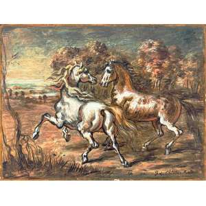 Soraia - Leilão Dezembro 2025