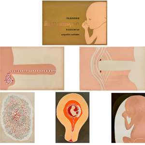 <b>FARNESE DE ANDRADE / DIONÍSIO DEL SANTO - Fecundação</b><br><br>conjunto de 5 serigrafias em cores, de Farnese de Andrade e impressas s/ papel por Dionísio del Santo, todas ass., dat. 1968 e n. 178/200 - 31 x 46,5 cm (cada)