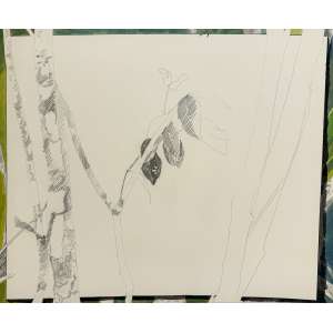 <b>CARLOS VERGARA - Sem Título</b><br>aquarela e grafite s/ papel com logotipo do artista inf. dir. - Procedência: Acervo Petite Galerie / Franco Terranova<br>50 x 60 cm