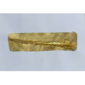 <b>FRANKLIN CASSARO - Desenho Mordido Série Ouro (?Abiogênese?)</b><br>papel, folhas de ouro e mordidas do artista, ass., dat. 2005 no verso e com etiqueta da Galeria Luísa Strina no verso do passepartout<br>42 x 59 cm