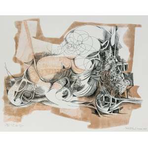 <strong>BURLE MARX, Roberto - Pomba Gira</strong><br><br>litografia em cores impressa s/ papel, ass., dat. 1985 inf. dir., tit. e n. 13/66 inf. esq.<br>61,5 x 81 cm