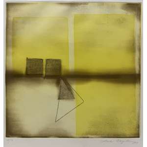 <strong>LENA BERGSTEIN - Amarelo Cromo</strong><br><br>gravura em metal em cores impressa s/ papel, ass., dat. 2013 inf. dir. e n. 43/50 inf. esq.<br>36 x 36 cm