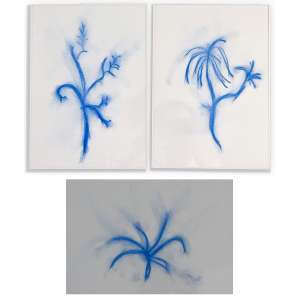 <strong>BOB N. - Phytoblues – da série Bluetopias</strong><br><br>pastel s/ papel, todos ass., dat. 2010 e tit. no verso<br>30 x 21,5 cm (cada)
