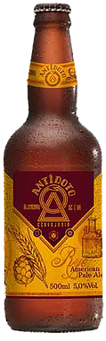Rye APA