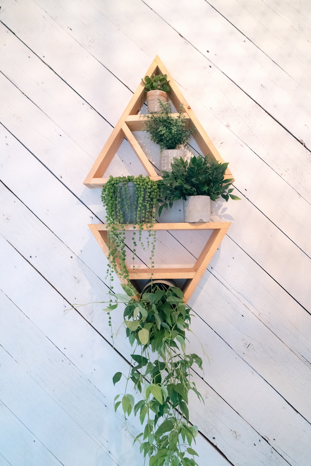 como fazer um jardim vertical, dicas jardim vertical