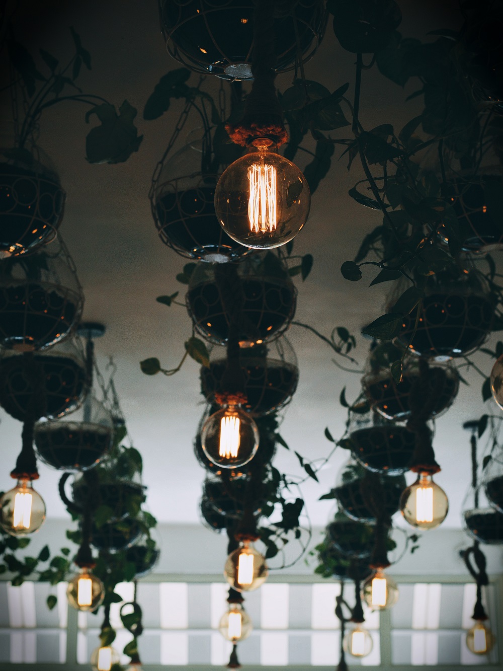 como fazer jardim vertical, dicas jardim vertical
