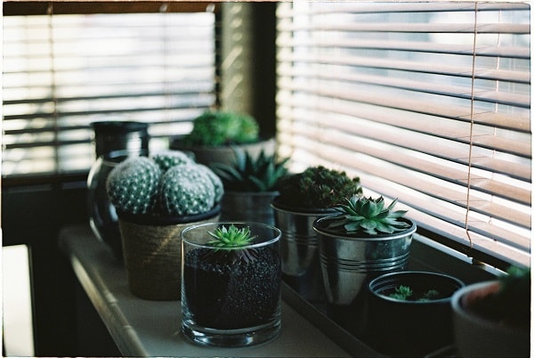 tendências de decoração, tendências de decoração para 2019, dicas de decoração