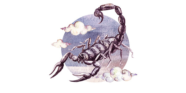 compatibilidade amorosa do signo de escorpião