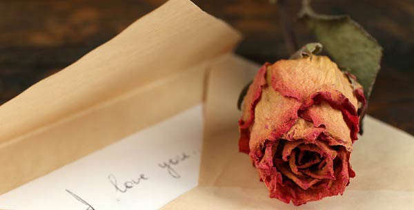 Ai Brow Mandei Cartas De Amor Pra Minha Namorada Durante 3 Anos