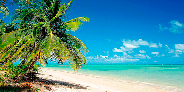 sonhar com praia