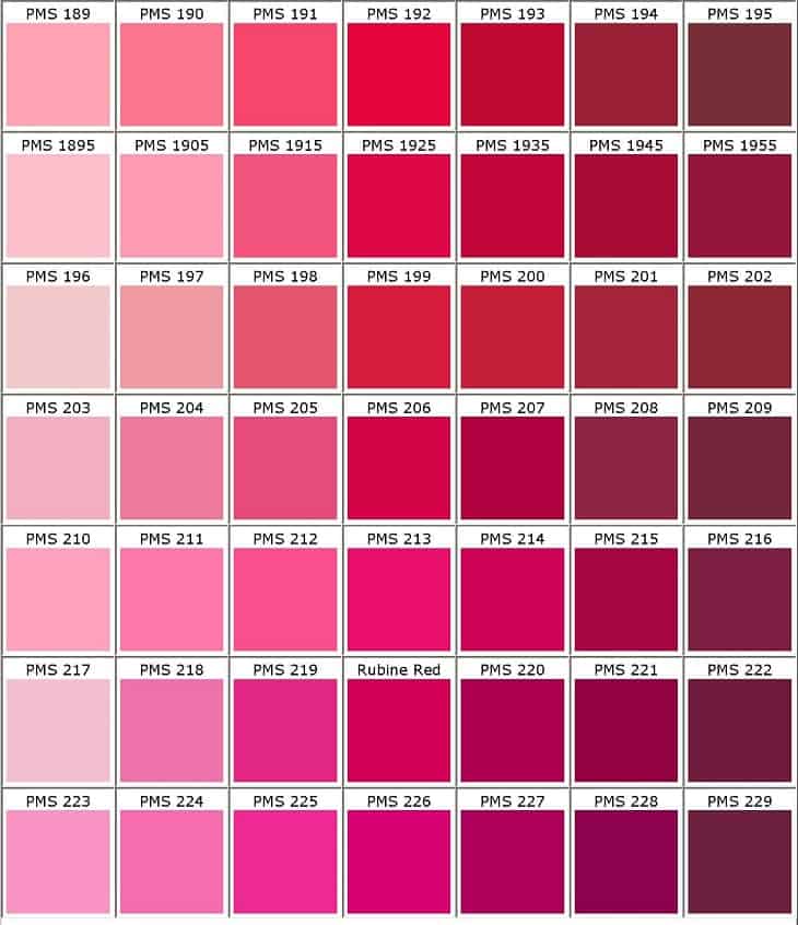 rosa no ano novo