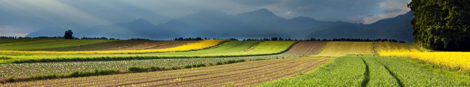 food processing industry usda brazil food processing industry