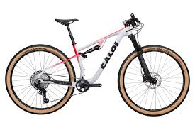 BICICLETA CALOI