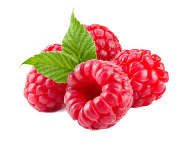 FRAMBOESAS FRESCAS 100G