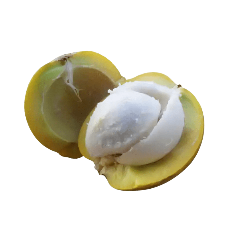 BACURI 1KG (LINGUA)