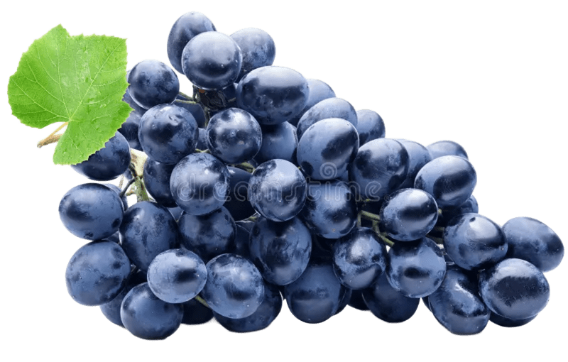 UVA ROXA 500G (SEM SEMENTE)