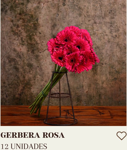 GERBERA ROSA COM 12 UNIDADES