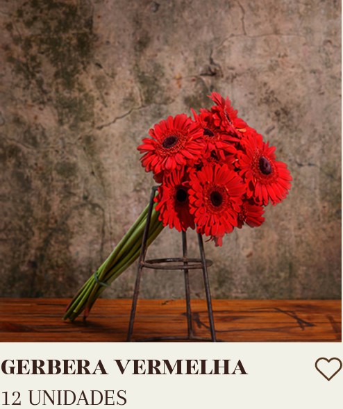GERBERA VERMELHA COM 12 UNIDADES