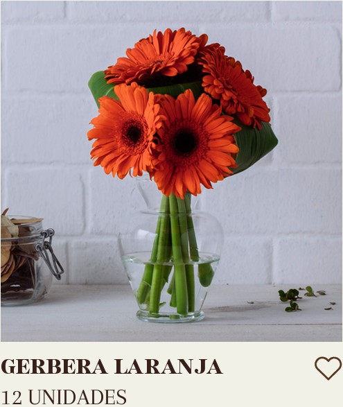 GERBERA LARANJA COM 12 UNIDADES