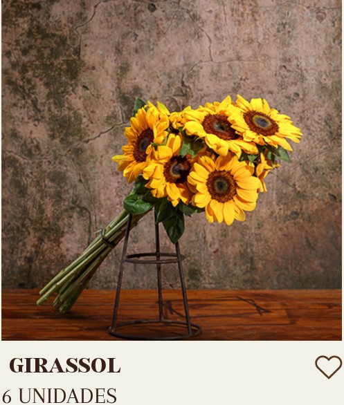 GIRASSOL COM 12 UNIDADES