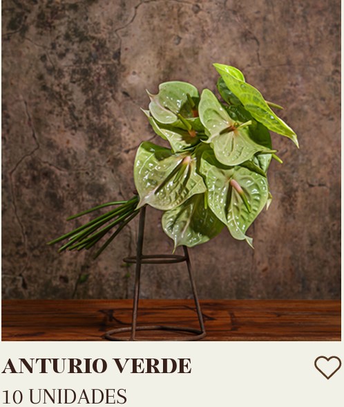 ANTURIO VERDE 10 UNIDADES