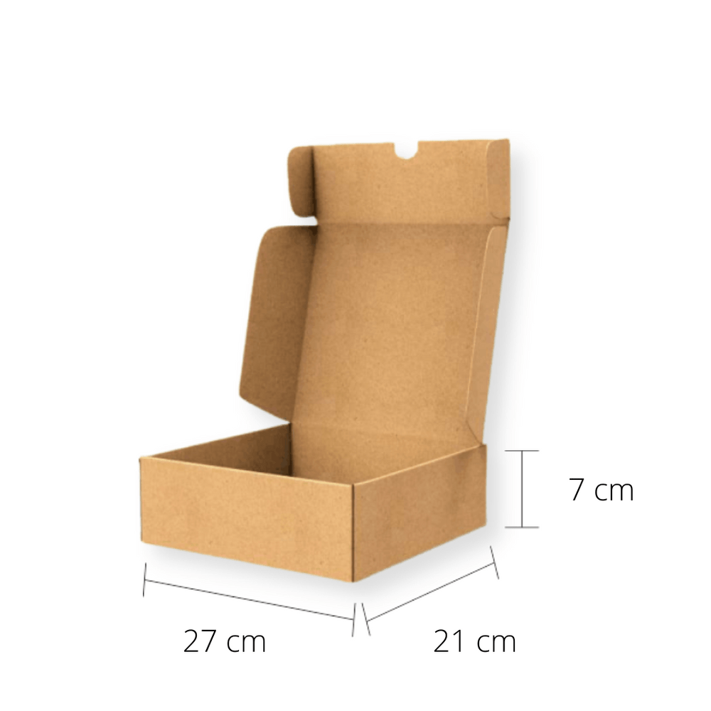 Caixa Sedex Lisa - 27 x 21 x 7 cm