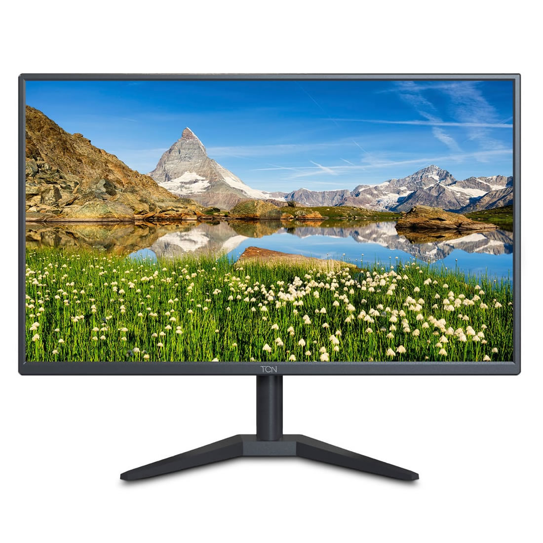 MONITOR TCN LED 19'