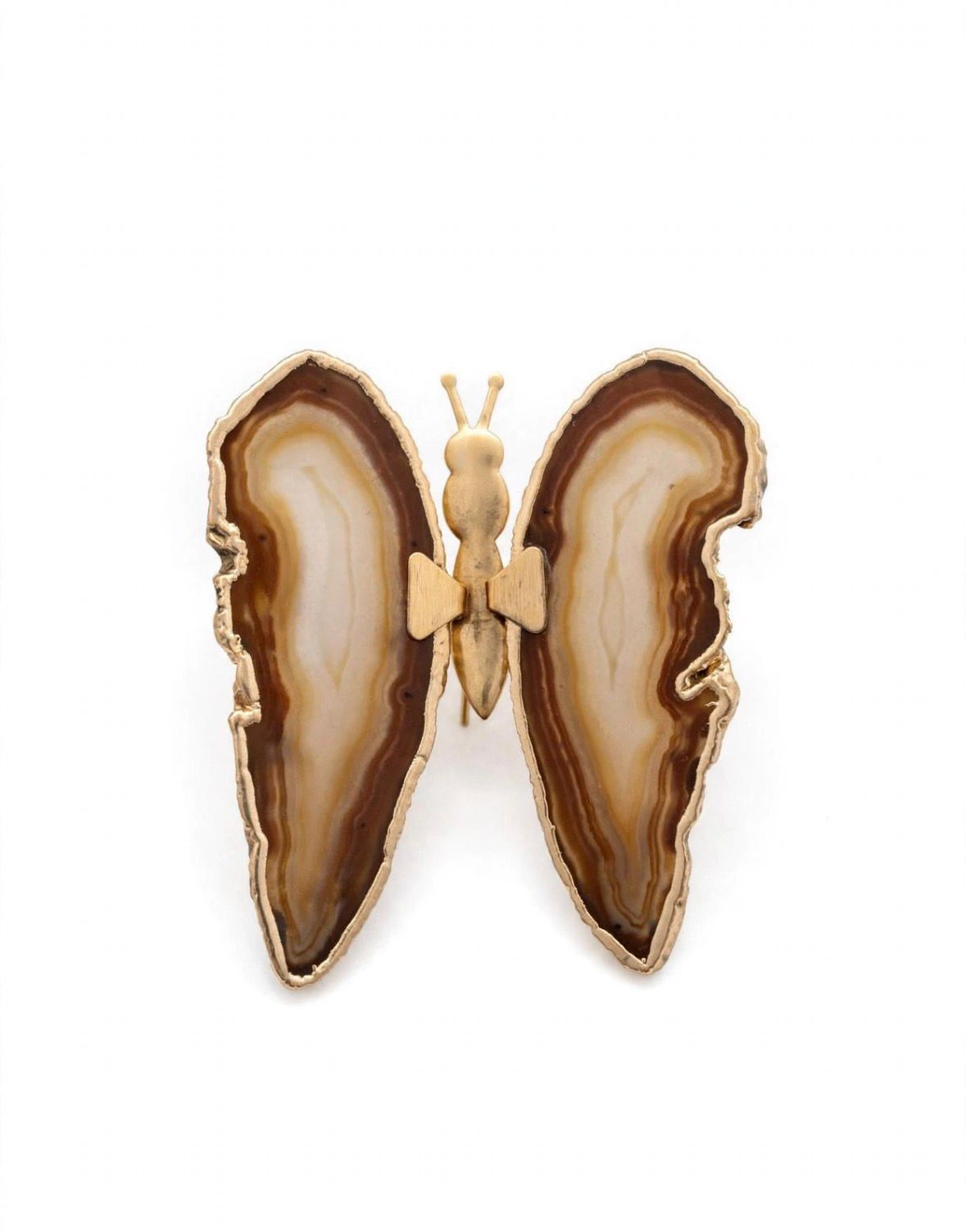 Borboleta pedra marrom