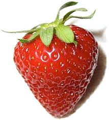 MORANGO KG