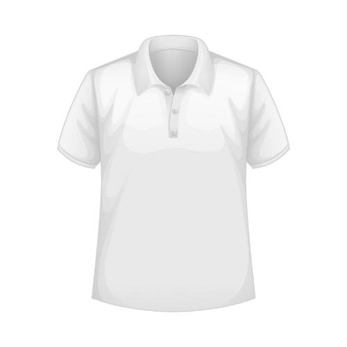 CAMISA GOLA POLO