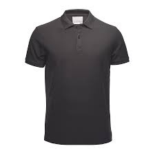 Camisa polo