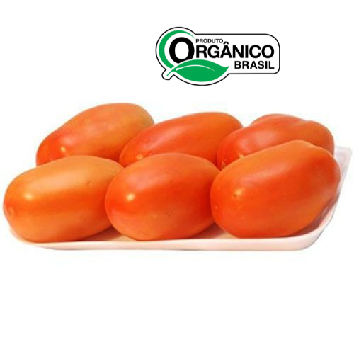 TOMATE ORGÂNICO BDJ (400G aproximado)