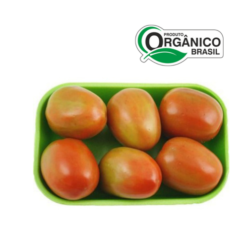 TOMATE MOLHO ORGÂNICO BDJ (500G)