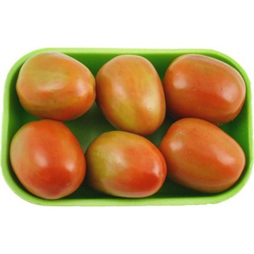 TOMATE MOLHO BDJ (500G)