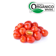 TOMATINHO SIRIGUELA ORGÂNICO KG