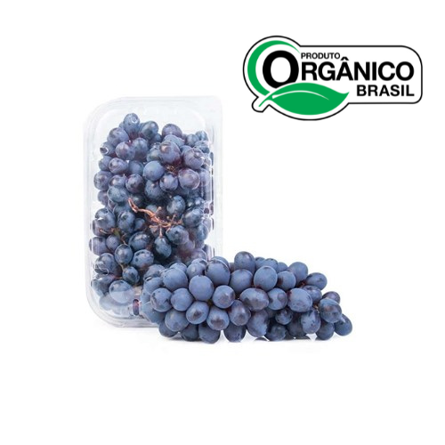 UVA VITORIA ORGÂNICA BDJ