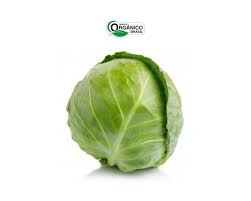 REPOLHO VERDE ORGÂNICO KG