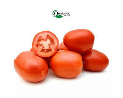 TOMATE ORGÂNICO KG