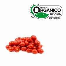 TOMATINHO GRAPE ORGÂNICO KG