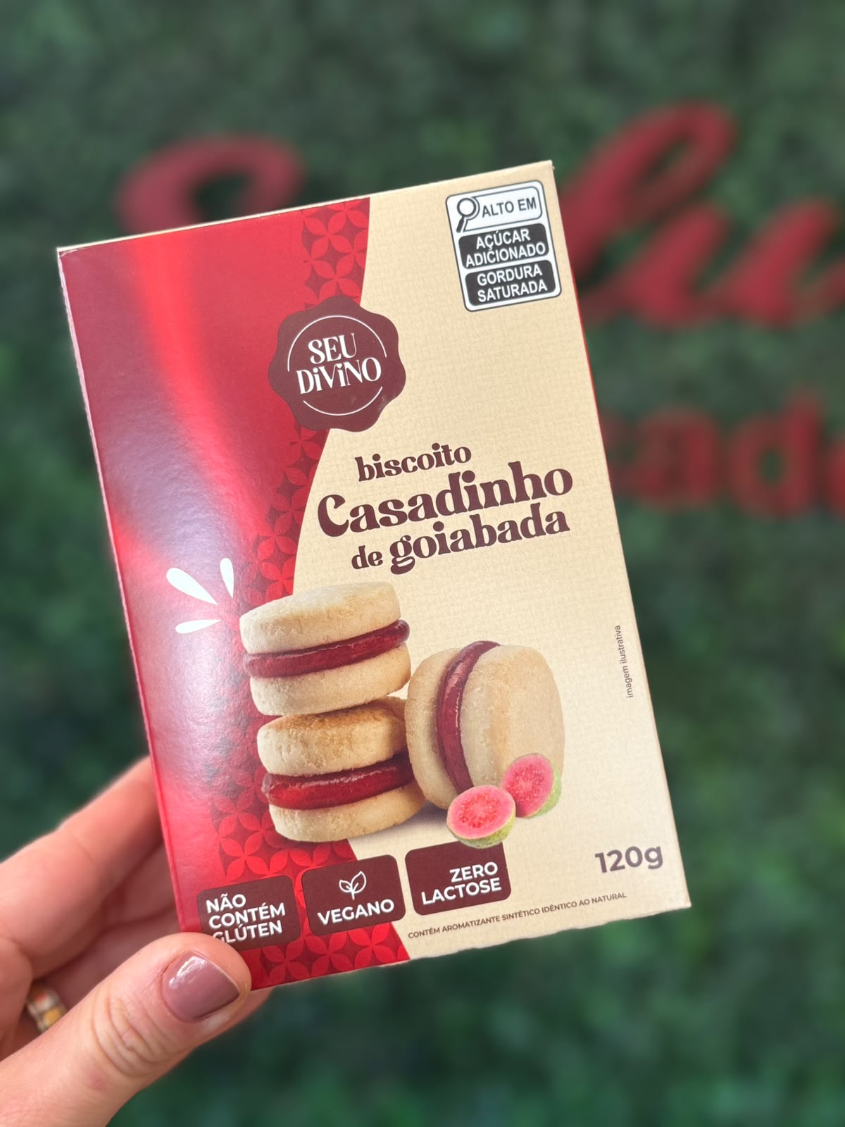 SEU DIVINO BISCOITO SEM GLÚTEN, VEGANO - CASADINHO C/ GOIABADA
